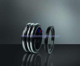 Silicon Carbide Seals Picture